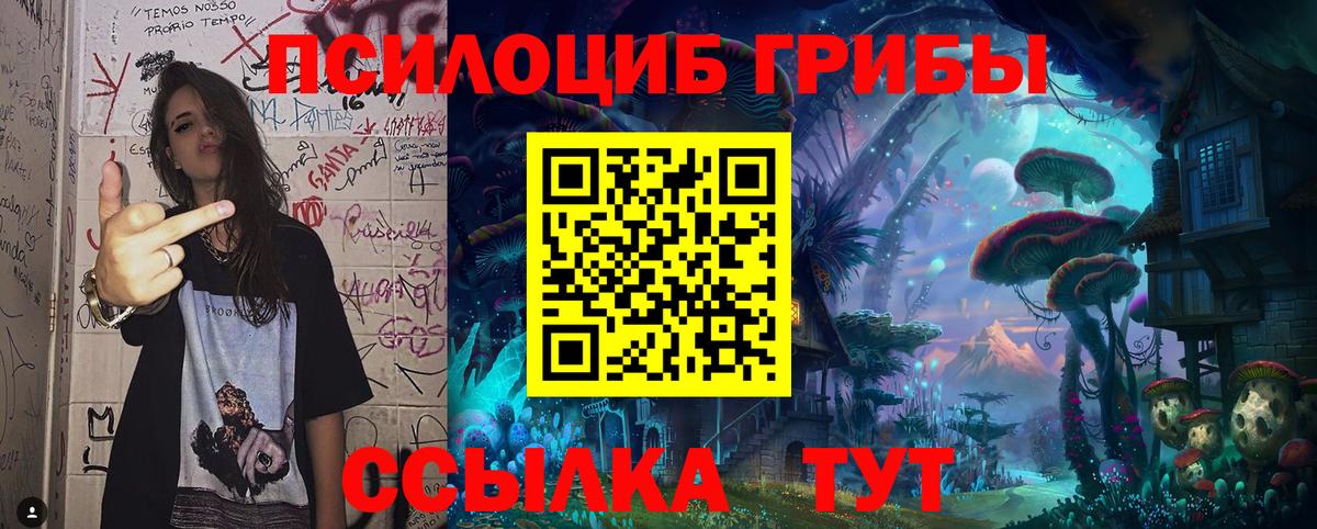 Донецк  Псилоцибиновые грибы Psilocybe  Вход с VPN  Псилоцибиновые грибы прущие грибы 