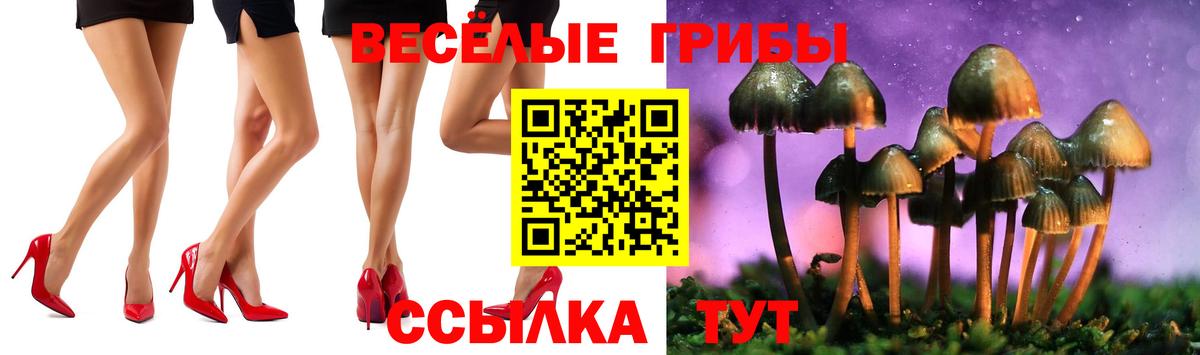 Псилоцибиновые грибы ЛСД Донецк